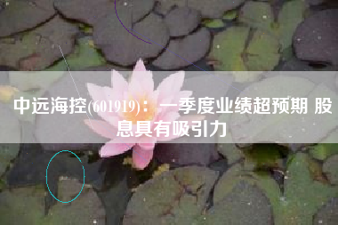 中远海控(601919)：一季度业绩超预期 股息具有吸引力