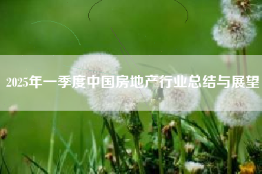 2025年一季度中国房地产行业总结与展望 2025年一季度中国房地产行业总结与展望