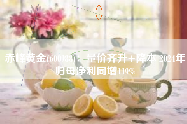 赤峰黄金(600988)：量价齐升+降本 2024年归母净利同增119%