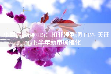 小商品城(600415)：扣非净利润+15% 关注下半年新市场催化