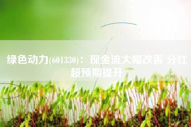 绿色动力(601330)：现金流大幅改善 分红超预期提升