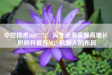 中控技术(688777)：海外业务实现高增长 积极开展在AI、机器人的布局
