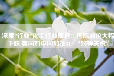 深度*行业*化工行业周报：国际油价大幅下跌 美国对中国加征34%“对等关税”