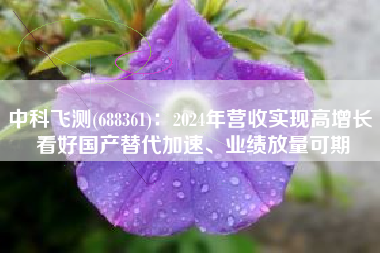 中科飞测(688361)：2024年营收实现高增长 看好国产替代加速、业绩放量可期