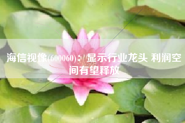海信视像(600060)：显示行业龙头 利润空间有望释放