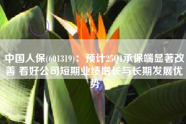 中国人保(601319)：预计25Q1承保端显著改善 看好公司短期业绩增长与长期发展优势