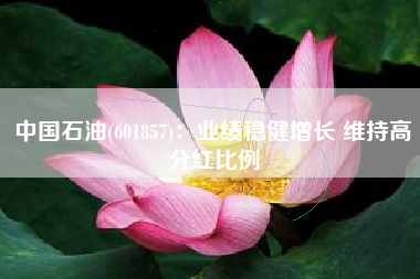 中国石油(601857)：业绩稳健增长 维持高分红比例