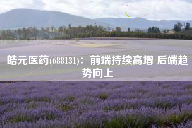 皓元医药(688131)：前端持续高增 后端趋势向上