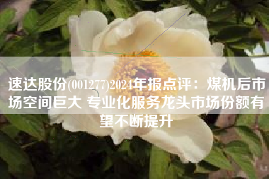 速达股份(001277)2024年报点评：煤机后市场空间巨大 专业化服务龙头市场份额有望不断提升