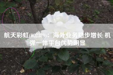 航天彩虹(002389)：海外业务稳步增长 机弹一体平台优势明显