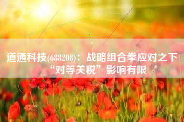 道通科技(688208)：战略组合拳应对之下 “对等关税”影响有限
