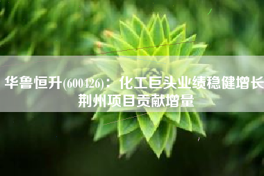 华鲁恒升(600426)：化工巨头业绩稳健增长 荆州项目贡献增量
