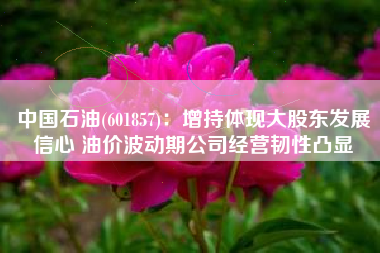 中国石油(601857)：增持体现大股东发展信心 油价波动期公司经营韧性凸显