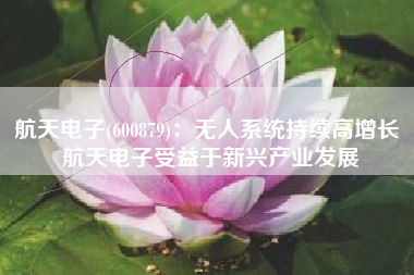 航天电子(600879)：无人系统持续高增长 航天电子受益于新兴产业发展