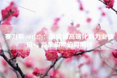 赛力斯(601127)：新能源高端化助力业绩扭亏 新车周期值得期待