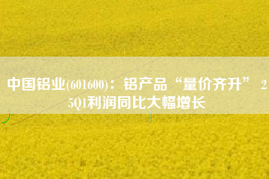 中国铝业(601600)：铝产品“量价齐升” 25Q1利润同比大幅增长