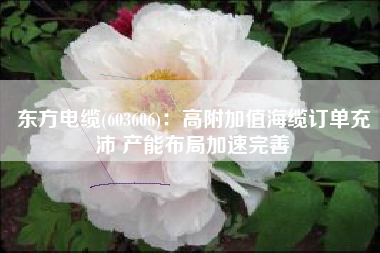 东方电缆(603606)：高附加值海缆订单充沛 产能布局加速完善