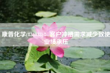 康普化学(834033)：客户冲槽需求减少致使业绩承压
