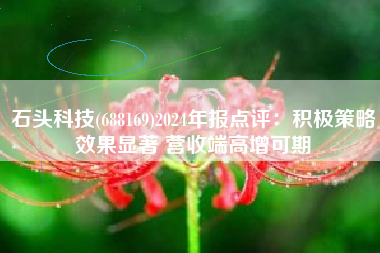 石头科技(688169)2024年报点评：积极策略效果显著 营收端高增可期