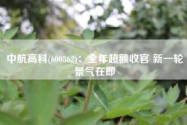 中航高科(600862)：全年超额收官 新一轮景气在即