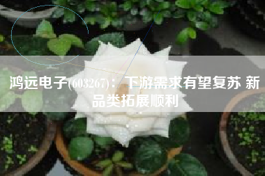 鸿远电子(603267)：下游需求有望复苏 新品类拓展顺利