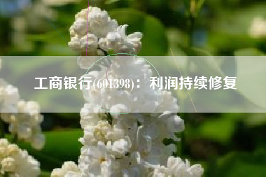 工商银行(601398)：利润持续修复