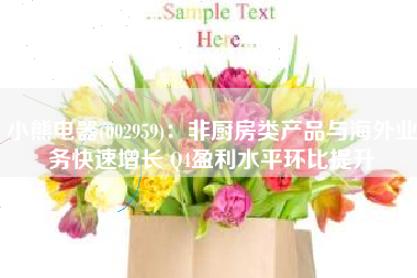 小熊电器(002959)：非厨房类产品与海外业务快速增长 Q4盈利水平环比提升