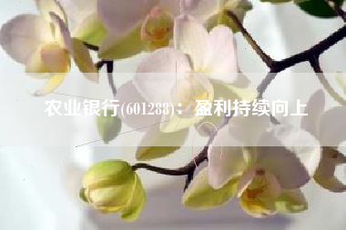 农业银行(601288)：盈利持续向上