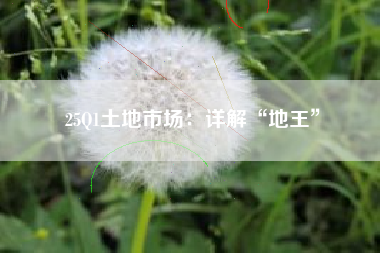 25Q1土地市场：详解“地王”