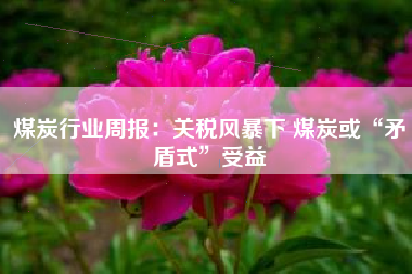 煤炭行业周报：关税风暴下 煤炭或“矛盾式”受益