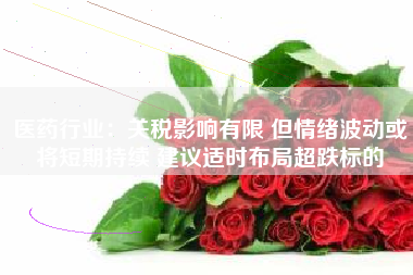医药行业:关税影响有限 但情绪波动或将短期持续 建议适时布局超跌标的 医药行业:关税影响有限 但情绪波动或将短期持续 建议适时布局超跌标的