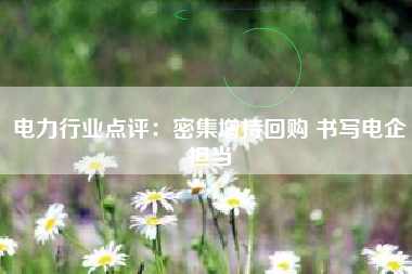 电力行业点评：密集增持回购 书写电企担当