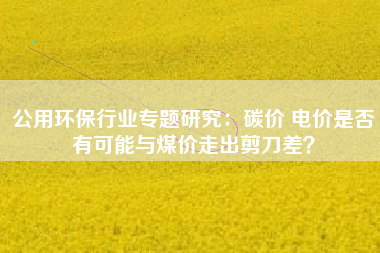 公用环保行业专题研究：碳价 电价是否有可能与煤价走出剪刀差？