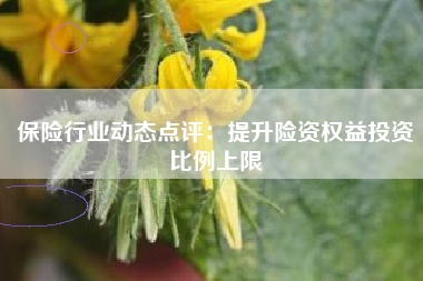 保险行业动态点评：提升险资权益投资比例上限