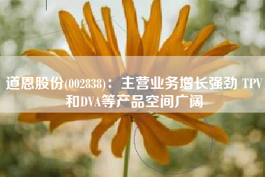 道恩股份(002838)：主营业务增长强劲 TPV和DVA等产品空间广阔