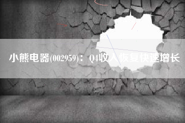 小熊电器(002959)：Q4收入恢复快速增长