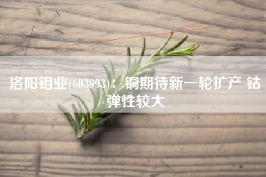 洛阳钼业(603993)：铜期待新一轮扩产 钴弹性较大