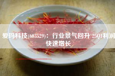 爱玛科技(603529)：行业景气回升 25Q1利润快速增长