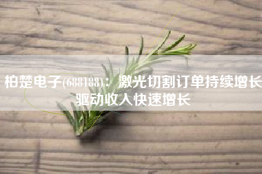 柏楚电子(688188)：激光切割订单持续增长驱动收入快速增长