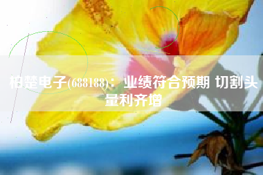 柏楚电子(688188)：业绩符合预期 切割头量利齐增