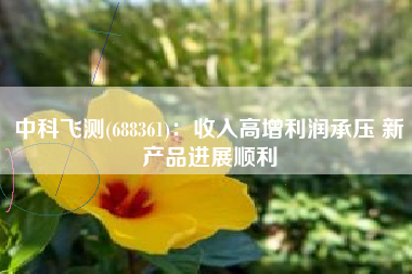 中科飞测(688361)：收入高增利润承压 新产品进展顺利