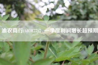 渝农商行(601077)：一季度利润增长超预期