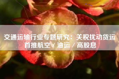 交通运输行业专题研究：关税扰动货运 首推航空／油运／高股息