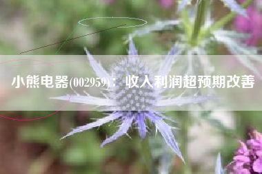 小熊电器(002959)：收入利润超预期改善