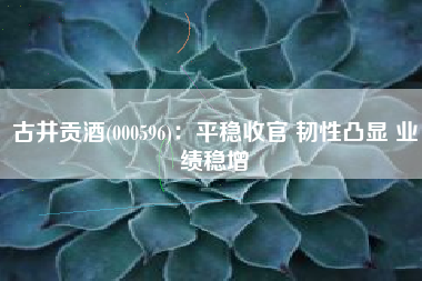 古井贡酒(000596)：平稳收官 韧性凸显 业绩稳增
