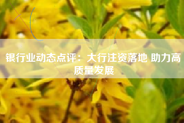 银行业动态点评：大行注资落地 助力高质量发展