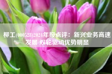 柳工(000528)2024年报点评：新兴业务高速发展 双轮驱动优势明显