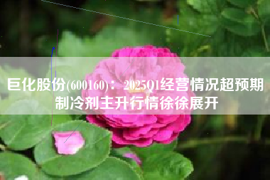 巨化股份(600160)：2025Q1经营情况超预期 制冷剂主升行情徐徐展开