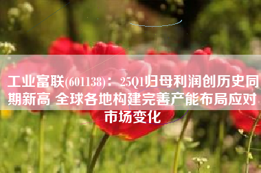 工业富联(601138)：25Q1归母利润创历史同期新高 全球各地构建完善产能布局应对市场变化
