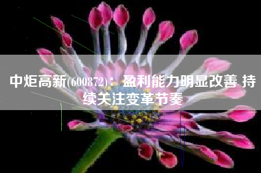 中炬高新(600872)：盈利能力明显改善 持续关注变革节奏